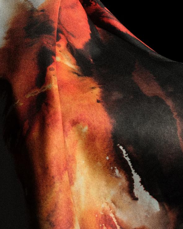 饮食计划 饮食计划