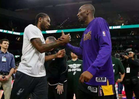 保护篮板 保护篮板